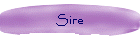 Sire